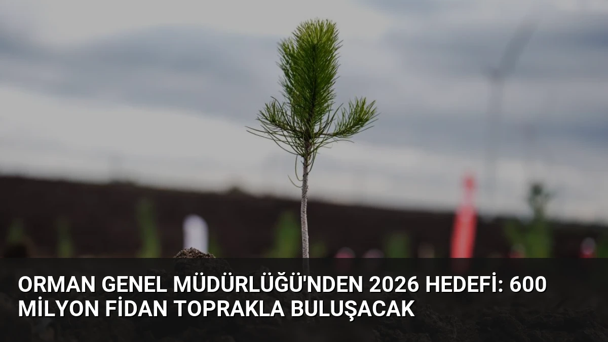 Orman Genel Müdürlüğü’nden 2026 Hedefi: 600 Milyon Fidan Toprakla Buluşacak