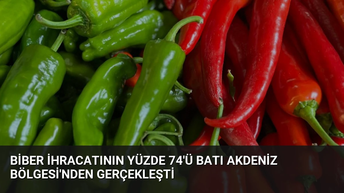 Biber İhracatının Yüzde 74’ü Batı Akdeniz Bölgesi’nden Gerçekleşti