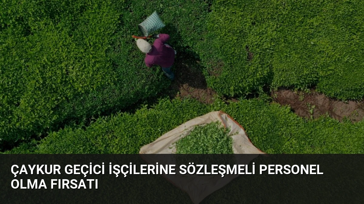 ÇAYKUR Geçici İşçilerine Sözleşmeli Personel Olma Fırsatı