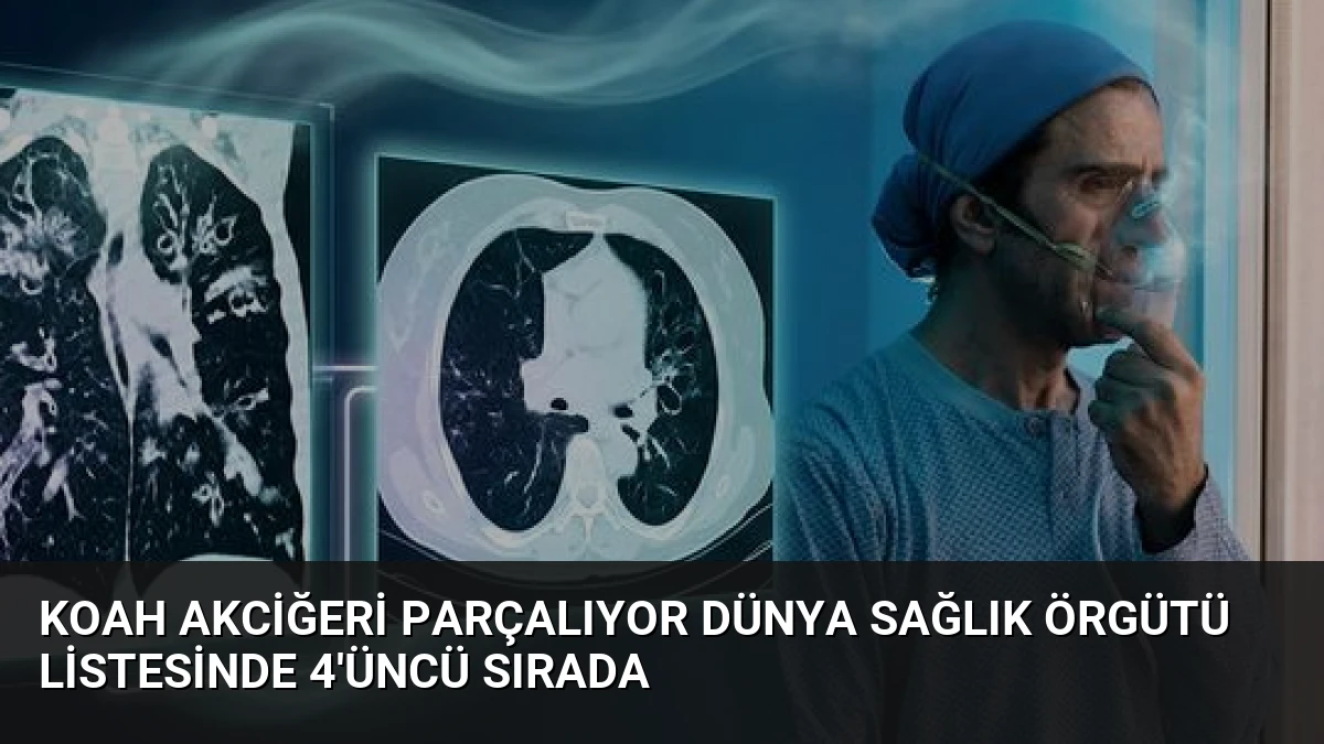 KOAH Akciğeri Parçalıyor Dünya Sağlık Örgütü Listesinde 4’üncü Sırada