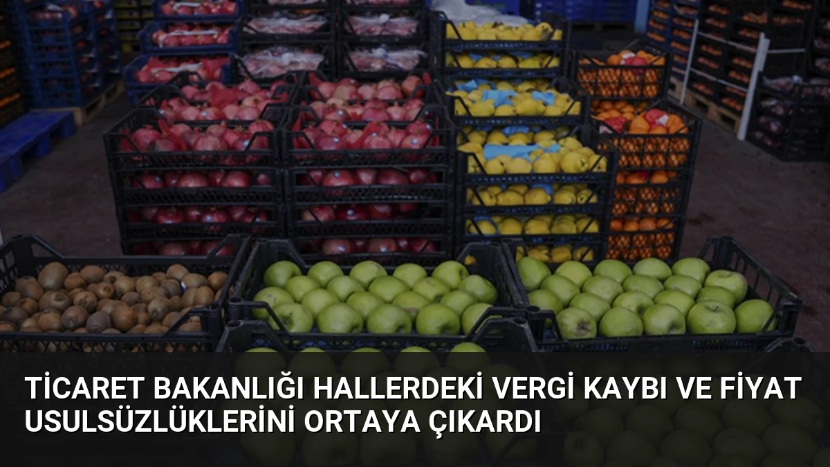 Ticaret Bakanlığı Hallerdeki Vergi Kaybı ve Fiyat Usulsüzlüklerini Ortaya Çıkardı