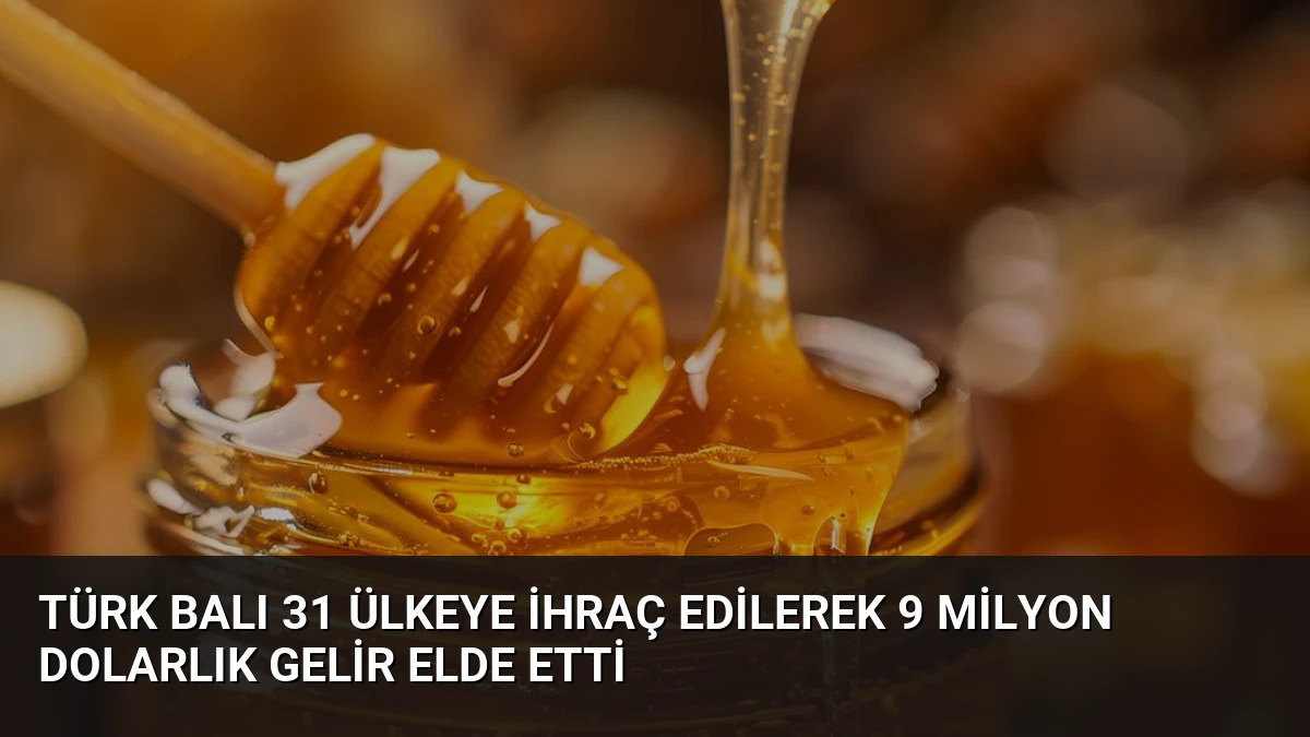 Türk Balı 31 Ülkeye İhraç Edilerek 9 Milyon Dolarlık Gelir Elde Etti