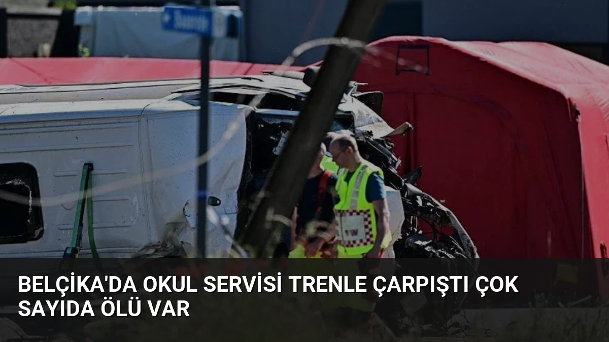 Belçika’da Okul Servisi Trenle Çarpıştı Çok Sayıda Ölü Var