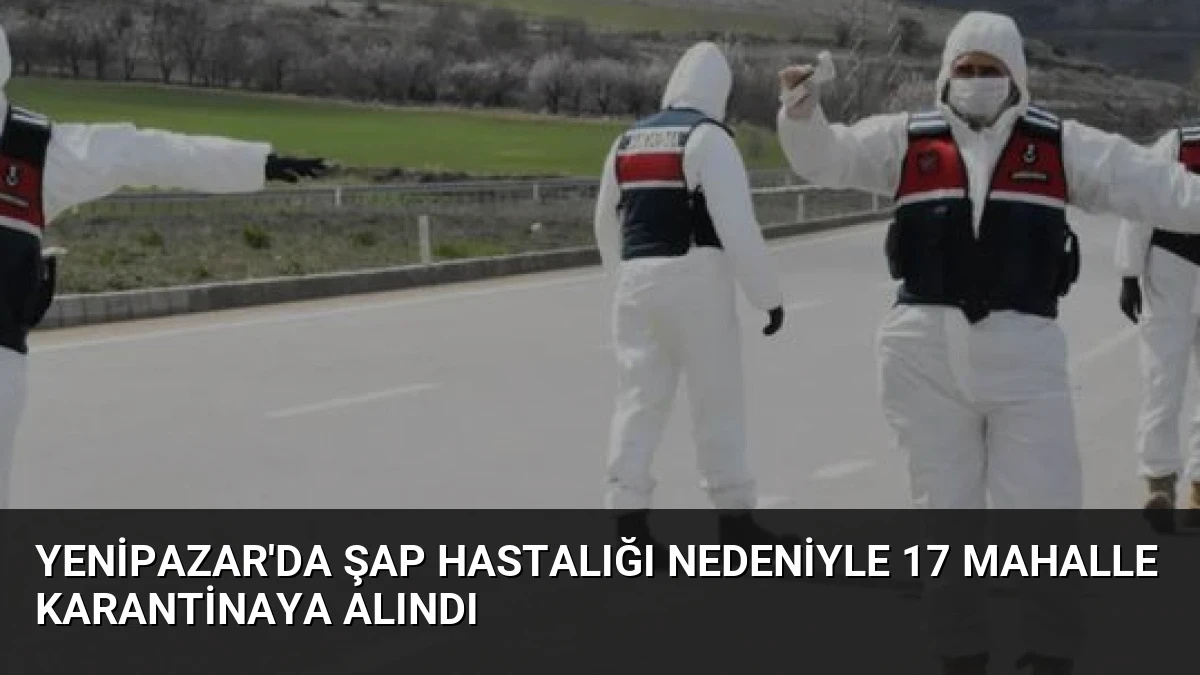 Yenipazar’da Şap Hastalığı Nedeniyle 17 Mahalle Karantinaya Alındı