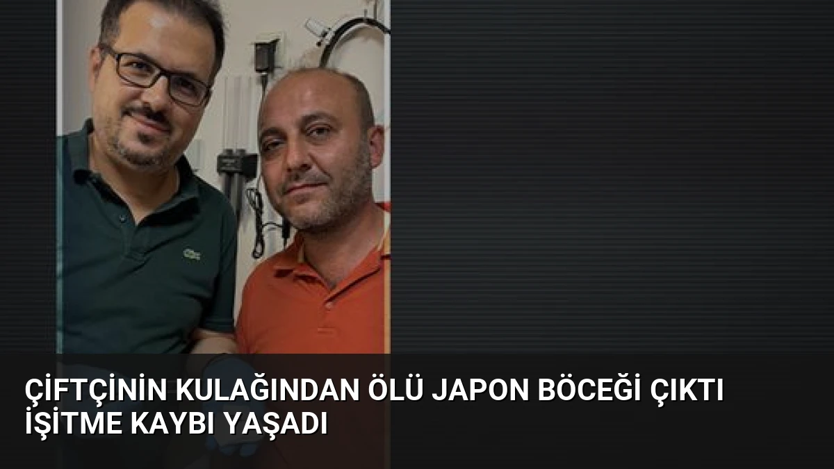 Çiftçinin Kulağından Ölü Japon Böceği Çıktı İşitme Kaybı Yaşadı