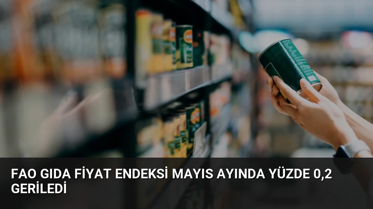 FAO Gıda Fiyat Endeksi Mayıs Ayında Yüzde 0,2 Geriledi