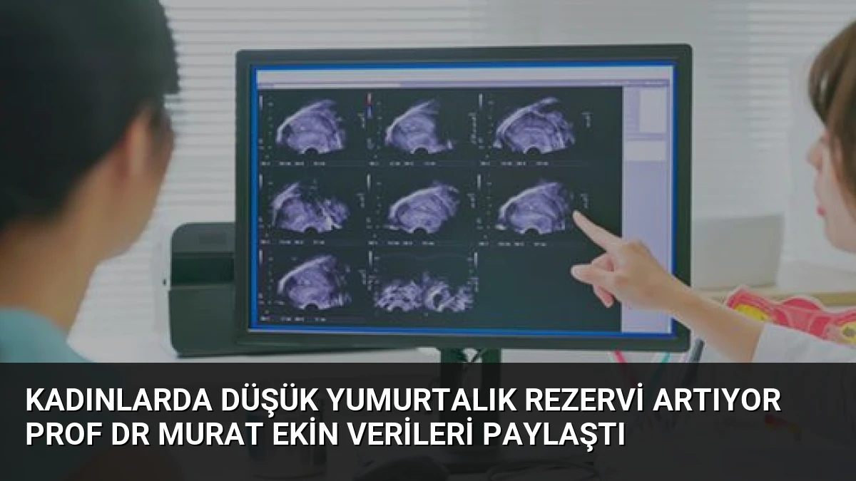 Kadınlarda Düşük Yumurtalık Rezervi Artıyor Prof Dr Murat Ekin Verileri Paylaştı