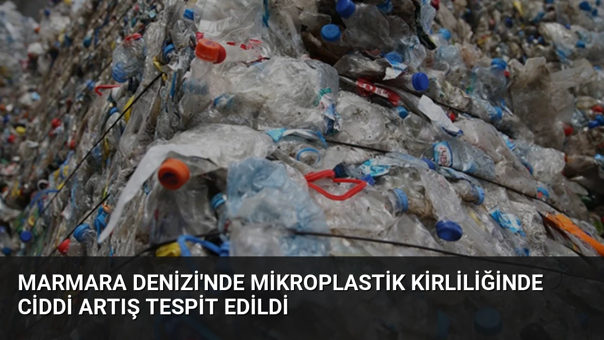 Marmara Denizi’nde Mikroplastik Kirliliğinde Ciddi Artış Tespit Edildi