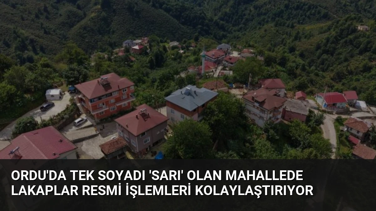 Ordu’da Tek Soyadı ‘Sarı’ Olan Mahallede Lakaplar Resmi İşlemleri Kolaylaştırıyor