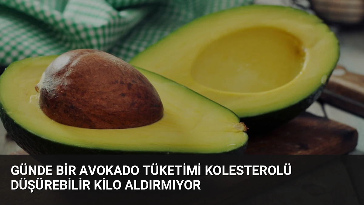 Günde Bir Avokado Tüketimi Kolesterolü Düşürebilir Kilo Aldırmıyor