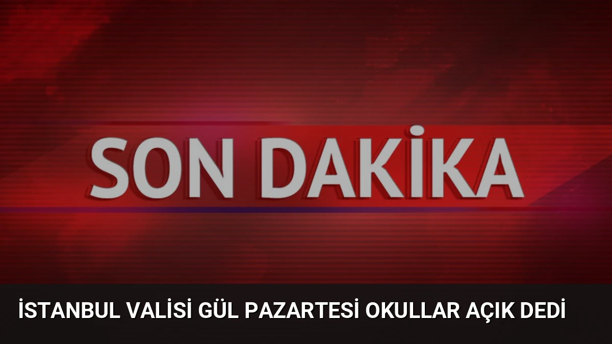 İstanbul Valisi Gül Pazartesi Okullar Açık Dedi