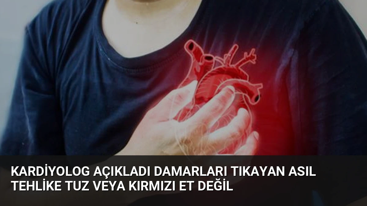 Kardiyolog Açıkladı Damarları Tıkayan Asıl Tehlike Tuz veya Kırmızı Et Değil